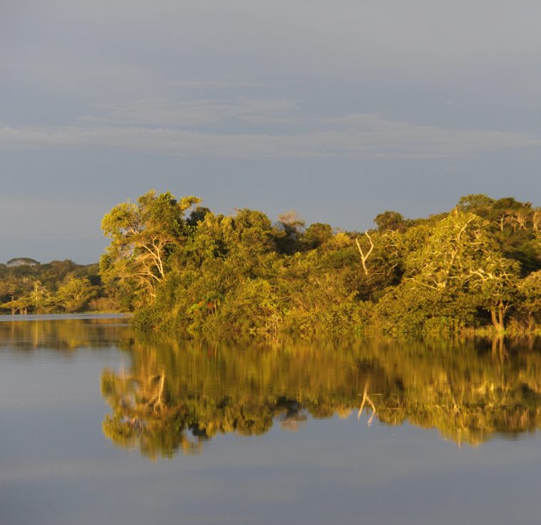 Progetto Tumbesian Forest Conservation – Ecuador