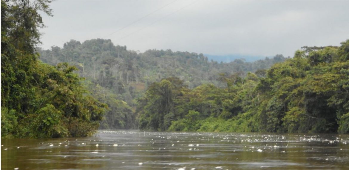 Nangaritza Valley – Ecuador